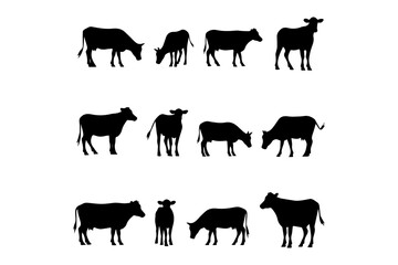 set of cow