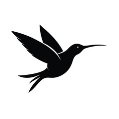 hummingbird vector illustration