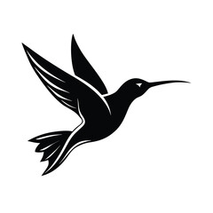 hummingbird silhouette vector