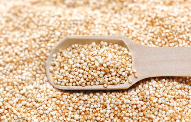 Amaranth pops in wooden spoon, gluten-free popped grains background
