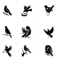 Set of black and white birds vector design