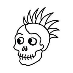 human skull