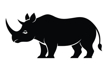 rhino isolated on white