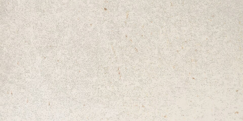 Ecru gradient with texture of eggshell. Pastel light beige background, modern dotted vector design, paper texture.
