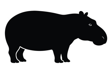 rhino vector illustration
