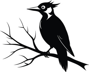 Woodpecker Bird Silhouette Vector Illustration