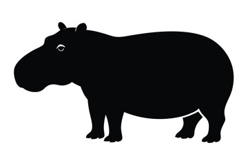 rhino vector illustration