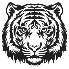 vector illustration of a tiger