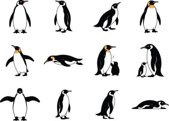 Fototapeta premium Penguin, Bird, Arctic, Antarctic, Wildlife - Cold Climate Icons
