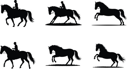 Horse, Rider, Equestrian, Sport, Animal - Riding Icons