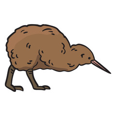 Kiwi bird hand drawn