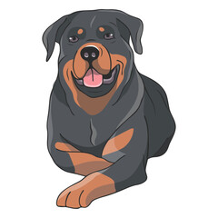Rottweiler dog lying down illustration
