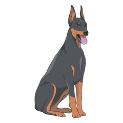 Doberman dog illustration