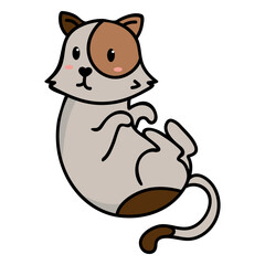 Cute serious cat illustration