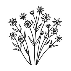 wild field flower line art  