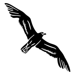 Flying bird eagle cut out