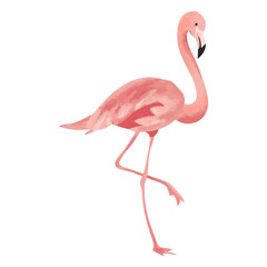 Flamingo tropical bird icon