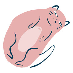 Cute animal pet abstract cat