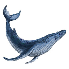 Whale textured sea animal