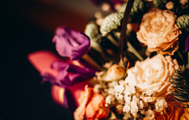 red and yellow flowers