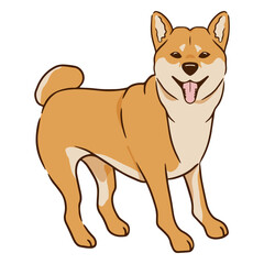 Shiba Inu dog smile