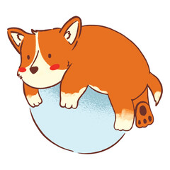 Cute yoga ball corgi dog