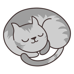 Charming cat peacefully sleeping