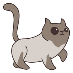 Cute walking cat