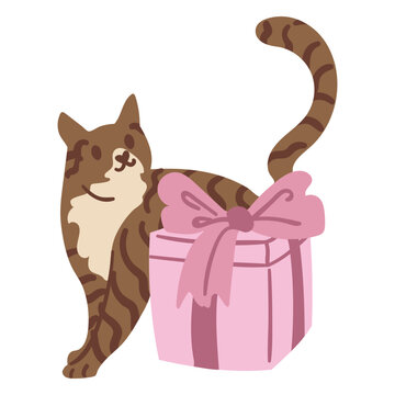 Birthday cat prowling around a gift box