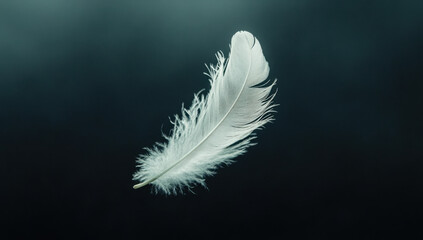 Obraz premium Delicate White Feather, A Symbol of Grace and Freedom