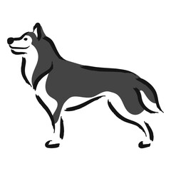 Happy husky dog standing