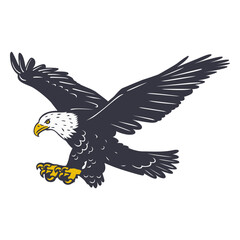 Bald eagle in flight vector illustration