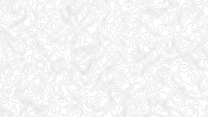 topography white background and black line wireframe isoline location diagram world map texture design .