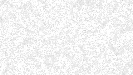 topography white background and black line wireframe isoline location diagram world map texture design .