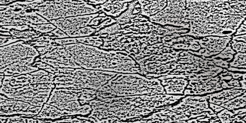 Ecru gradient with texture of eggshell. Pastel light beige background, modern dotted vector design, paper texture