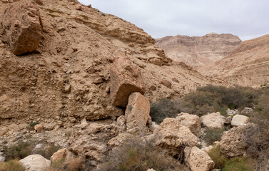 The unrivaled  splendor of the nature in the Arugot Stream Nature Reserve near the Dead Sea in the southern Israel