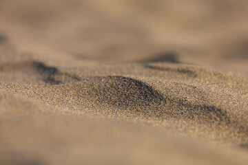 Desert landscape and sand dunes in Maspalomas. View of dunes and sea. Gran Canaria Island Spain