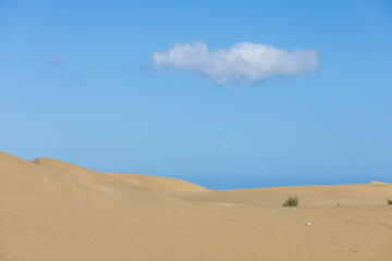 Desert landscape and sand dunes in Maspalomas. View of dunes and sea. Gran Canaria Island Spain