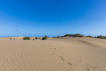 Desert landscape and sand dunes in Maspalomas. View of dunes and sea. Gran Canaria Island Spain