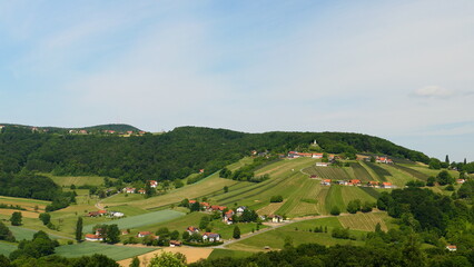 Weinberg der Sinne, Weinberg, Südoststeiermark (2)