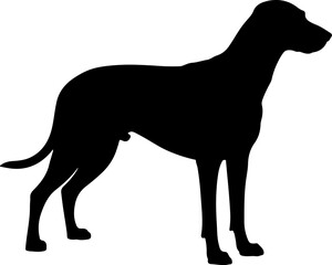  Dog breed black silhouette and line art