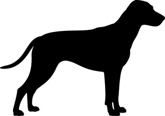  Dog breed black silhouette and line art