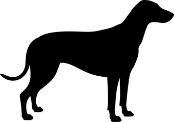  Dog breed black silhouette and line art