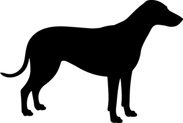  Dog breed black silhouette and line art