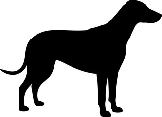  Dog breed black silhouette and line art