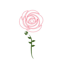 Rose Illustration