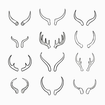 vector illustration of a set of animal horns, Horns of different animals, bundle vector