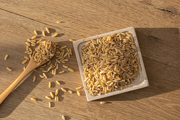 Heap of kamut kernels on white background