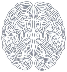 The sticker is a schematic image of the human brain, made in the form of an abstract labyrinth of smooth, winding lines imitating the cerebral cortex.