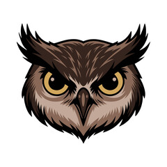 Artistic Owl Head with Sharp Eyes